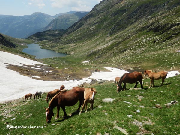 4.8-port-de-tavascan