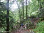 2.14-bosc