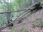 4.2-vall-de-ossese